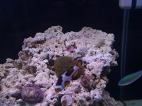 IMG_20110507_113142.jpg