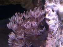 IMG_20110507_113107.jpg