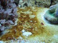 IMG_0117.jpg