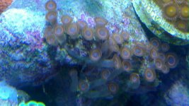 20101213_003.jpg