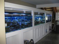 FISHTOPIA JULY 2011 023.jpg