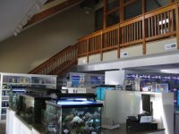 FISHTOPIA JULY 2011 012.jpg