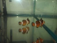 IMG00051-20110315-0512.jpg