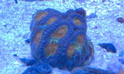 IMAG0081.jpg