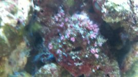 2011-02-05_14-35-09_789.jpg