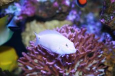 IMG_3492.jpg