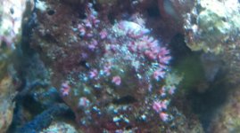 2011-02-05_14-35-18_528.jpg