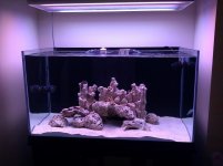 IMG_20110330_190606.jpg