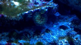 2011-07-28_17-09-16_668.jpg
