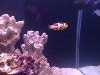 IMG_20110407_005653.jpg