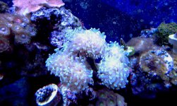 IMAG0738.jpg
