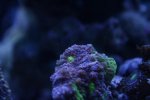 7-14-11 062.jpg