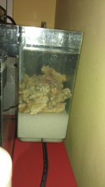 IMAG0024.jpg