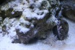 IMG_6723_resize.jpg
