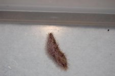 20110409_98.jpg