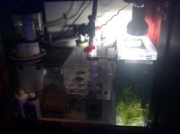IMG_20110409_224907.jpg