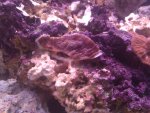 IMG_20110409_225048.jpg
