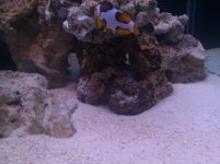 IMG_20110409_225309.jpg