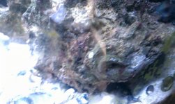 IMAG0413.jpg