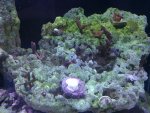 IMG_20110604_103606.jpg