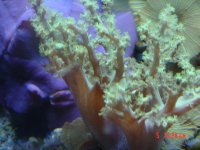 DSC00189.jpg