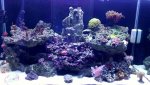 IMAG0639-1.jpg