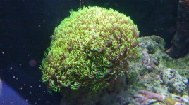 IMAG0647.jpg