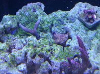 IMG_20110531_083054.jpg