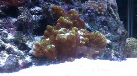 IMAG0663.jpg