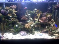 IMG-20111019-00340.jpg