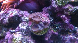 IMAG0666.jpg