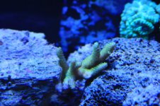 IMG_3629.jpg