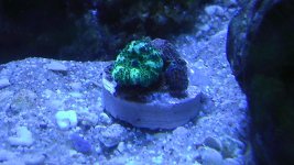 IMAG0503.jpg