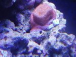 fish 6-2011 003.jpg