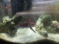 DSCF0717.JPG