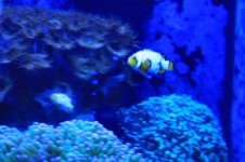 IMG_4128.jpg