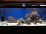 75 gal.jpg
