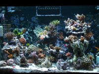 5-23-11 019.jpg