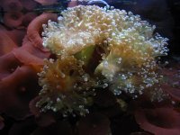 IMG_5587.jpg