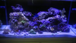 IMAG0105.jpg
