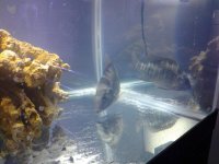 20120106_192731.jpg