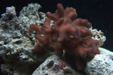 CRW_6304.jpg