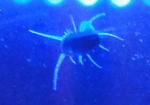 DSC00692.JPG