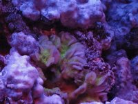 IMG_4629.JPG