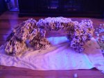 IMG_20120207_201040.jpg