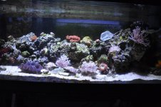 DSC_3034.jpg