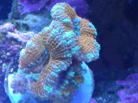 IMG_20120116_114418.jpg