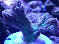 IMG_20120116_114615.jpg