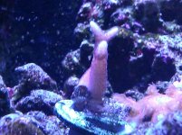 IMG_20120116_114640.jpg