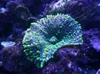 IMG_20120116_115212.jpg